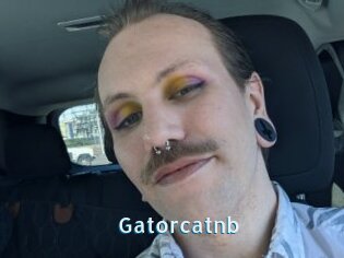 Gatorcatnb