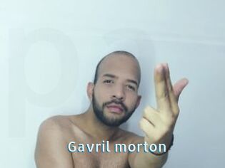 Gavril_morton