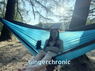 Gingerchronic