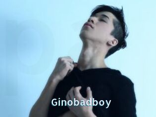 Ginobadboy