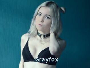 Grayfox