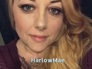 HarlowMae