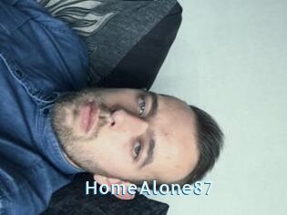 HomeAlone87