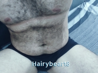 Hairybear18