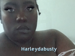 Harleydabusty