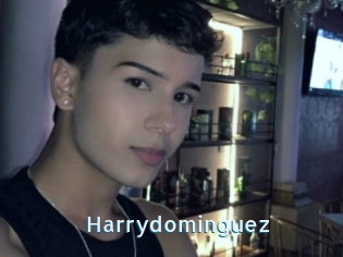 Harrydominguez