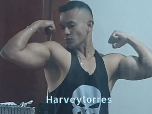 Harveytorres