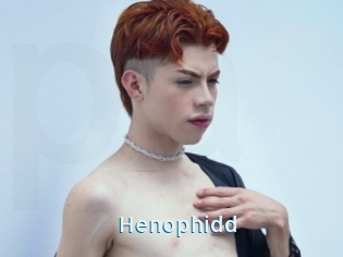 Henophidd