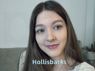 Hollisbarks