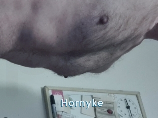 Hornyke