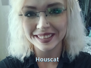 Houscat