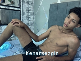 Kenansezgin