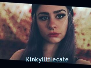 Kinkylittlecate