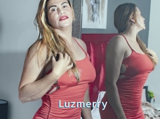 Luzmerry