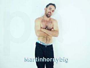 Martinhornybig