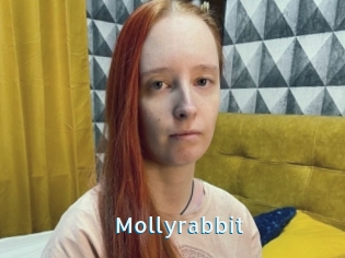 Mollyrabbit