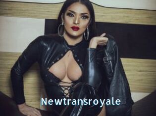 Newtransroyale