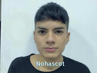 Nohascot