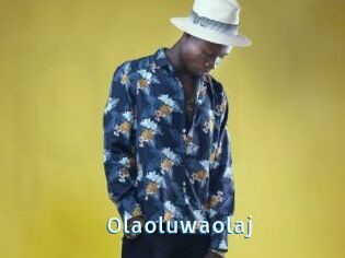 Olaoluwaolaj