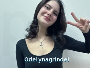 Odelynagrindel