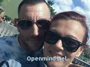 Openmindstel