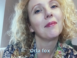 Orla_fox