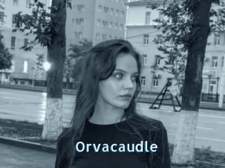 Orvacaudle