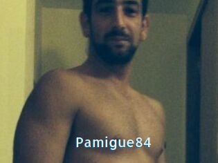 Pamigue84