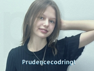 Prudencecodringt