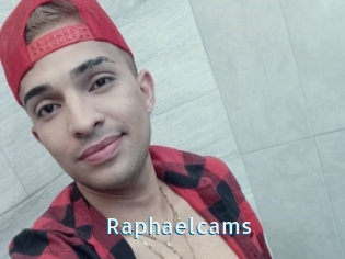 Raphaelcams