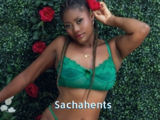 Sachahents