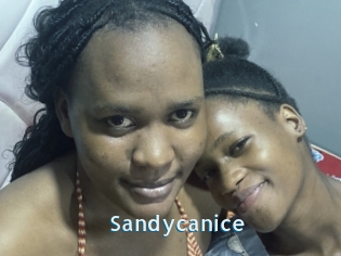 Sandycanice