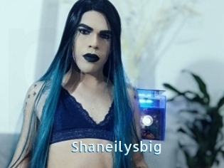 Shaneilysbig