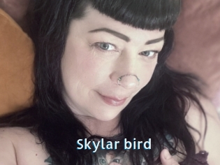 Skylar_bird