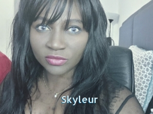 Skyleur