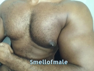 Smellofmale