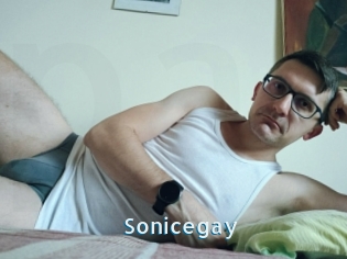 Sonicegay