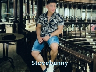 Stevebunny