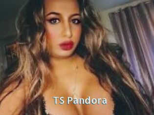 TS_Pandora