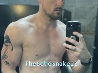 TheSolidSnake23