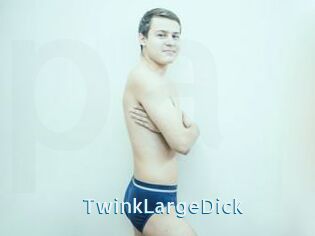 TwinkLargeDick