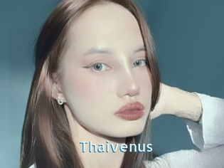 Thaivenus