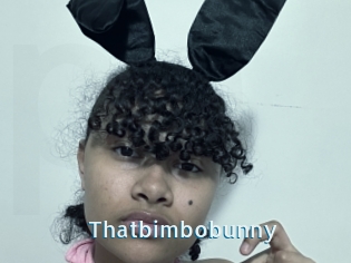 Thatbimbobunny