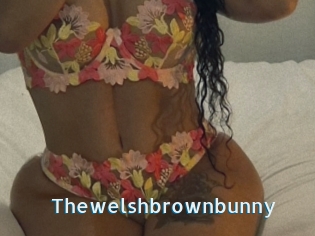 Thewelshbrownbunny