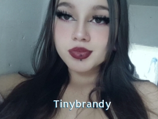 Tinybrandy