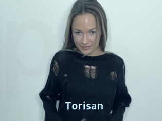 Torisan