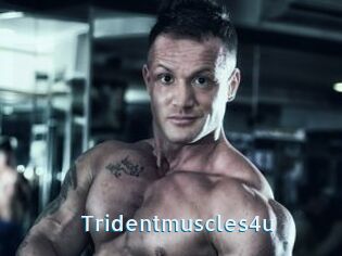 Tridentmuscles4u