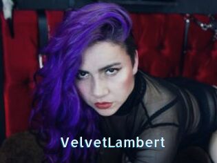 VelvetLambert