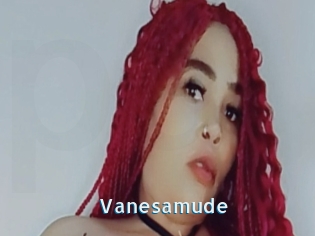 Vanesamude