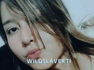 WILDSLAVEKTI